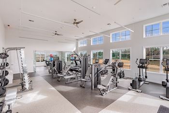 Professional fitness center including cardio equipment, strength training circuit and free weights